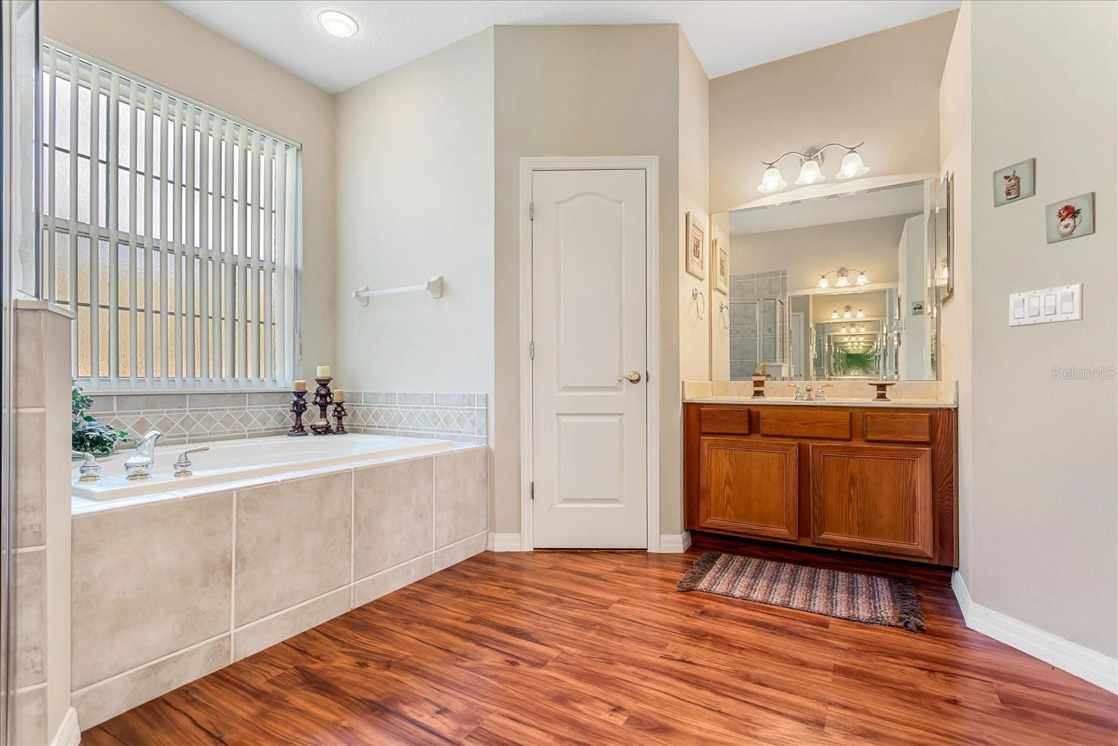 10846 POINT NELLIE DR, CLERMONT, FL, 34711