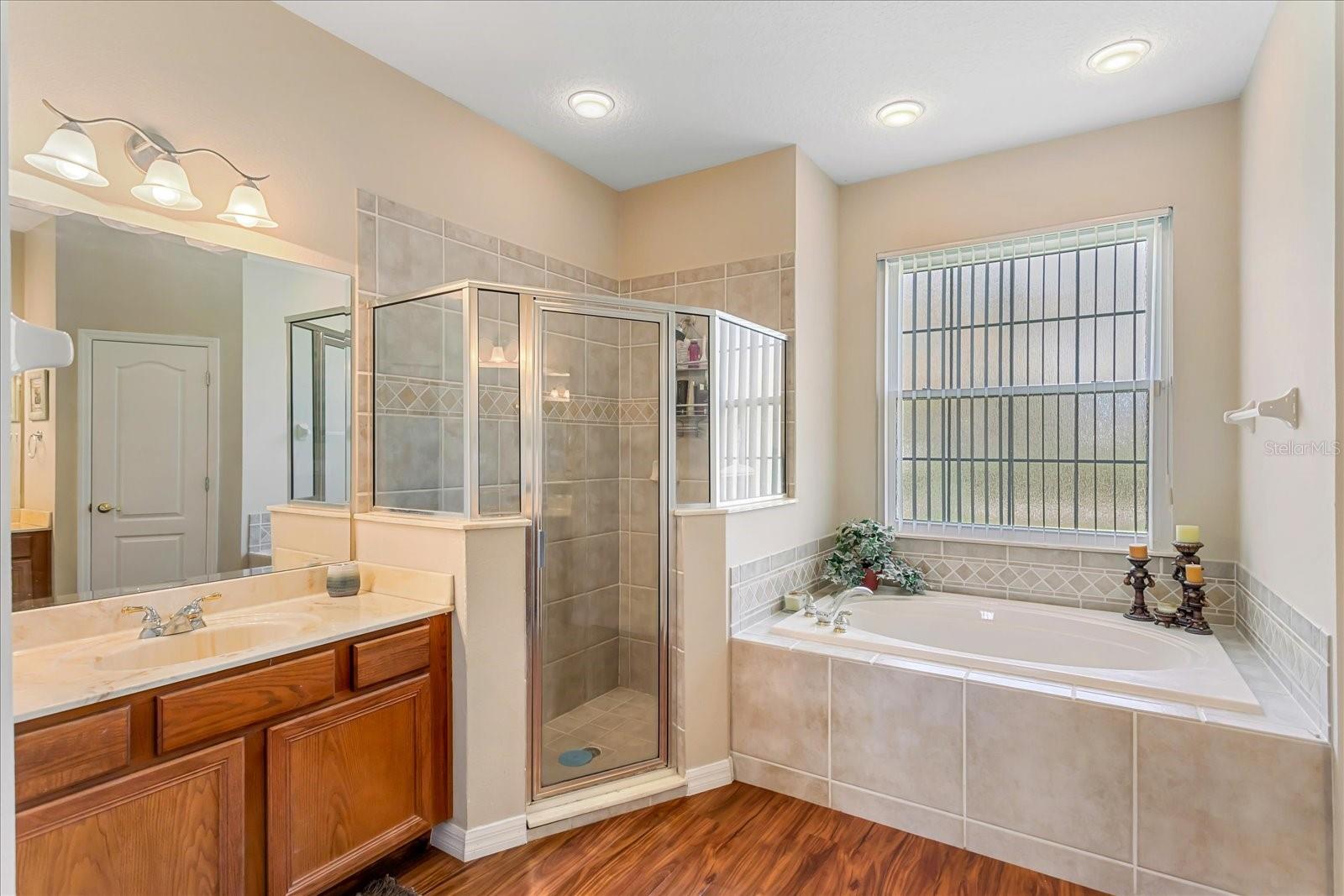 10846 POINT NELLIE DR, CLERMONT, FL, 34711