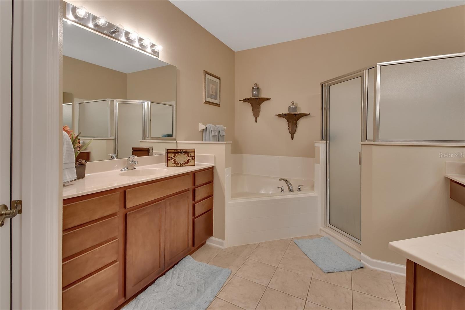 208 WELLISFORD WAY, DELAND, FL, 32724