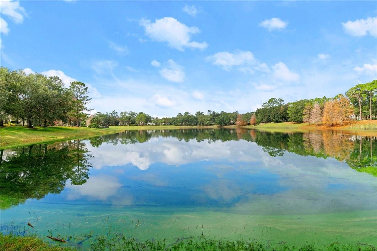 208 WELLISFORD WAY, DELAND, FL, 32724