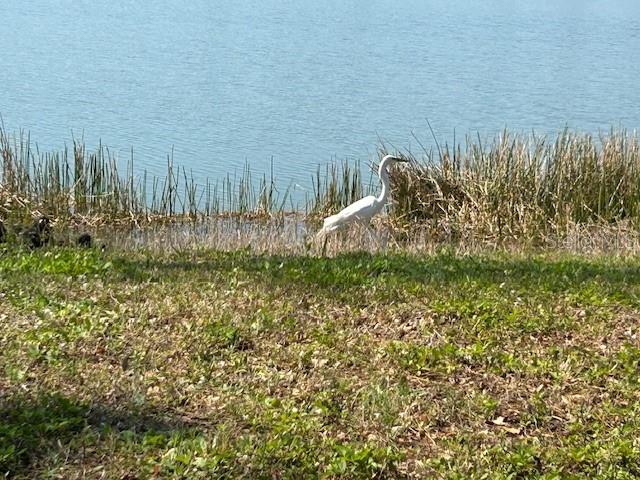 8947 TUSCANY ISLES DR, PUNTA GORDA, FL, 33950