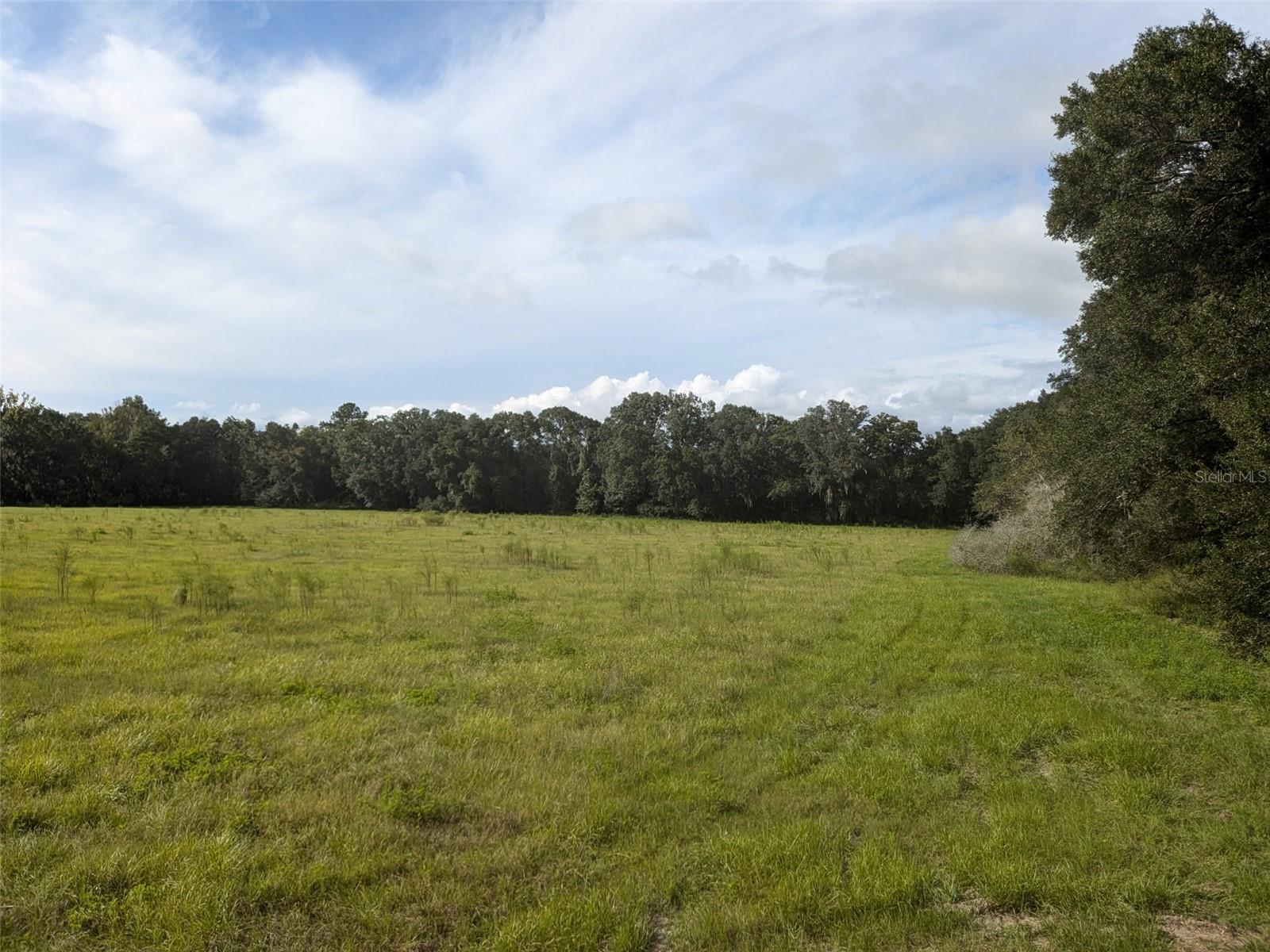 4052 SE OCTOBER RD, LAKE CITY, FL, 32025