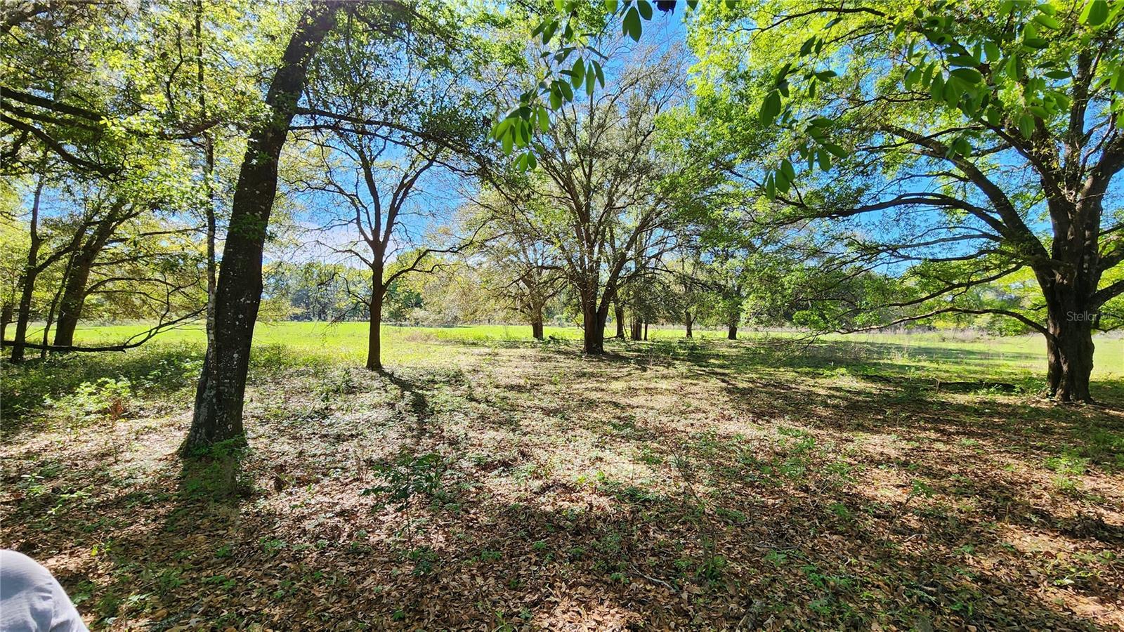 4052 SE OCTOBER RD, LAKE CITY, FL, 32025