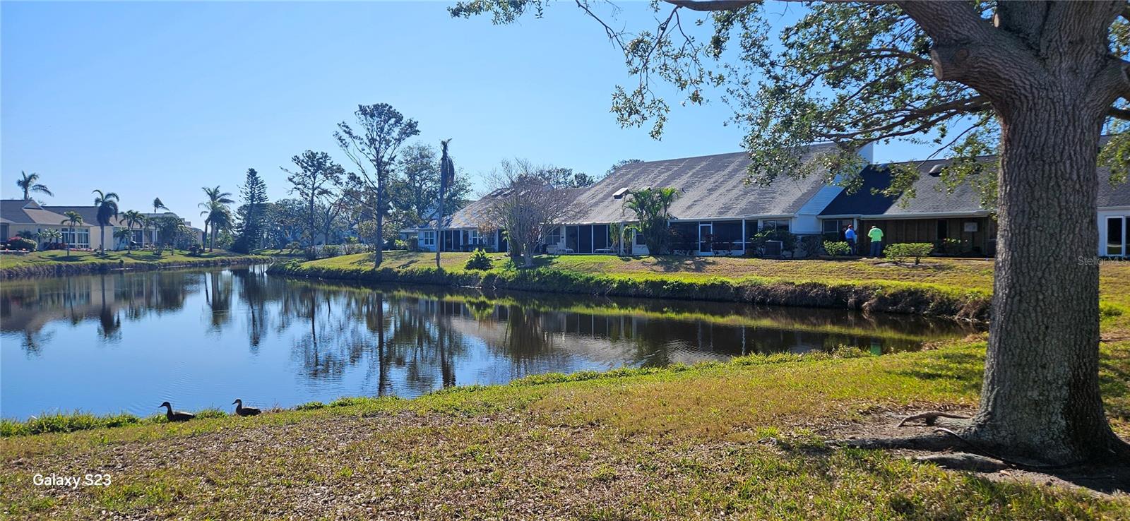 11025 JASMINE CIR, BRADENTON, FL, 34209