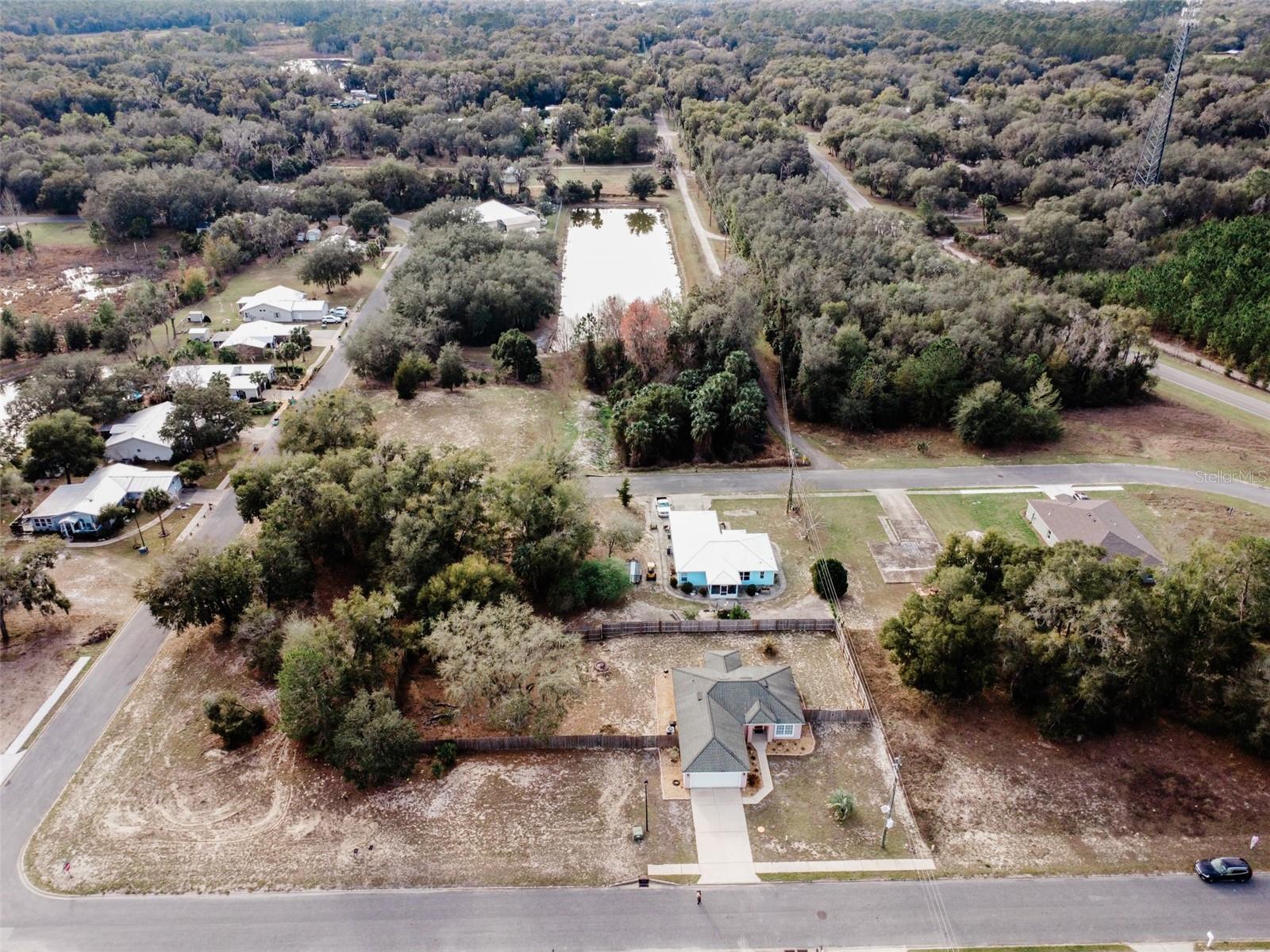 108 VILLAGE DR, WELAKA, FL, 32193