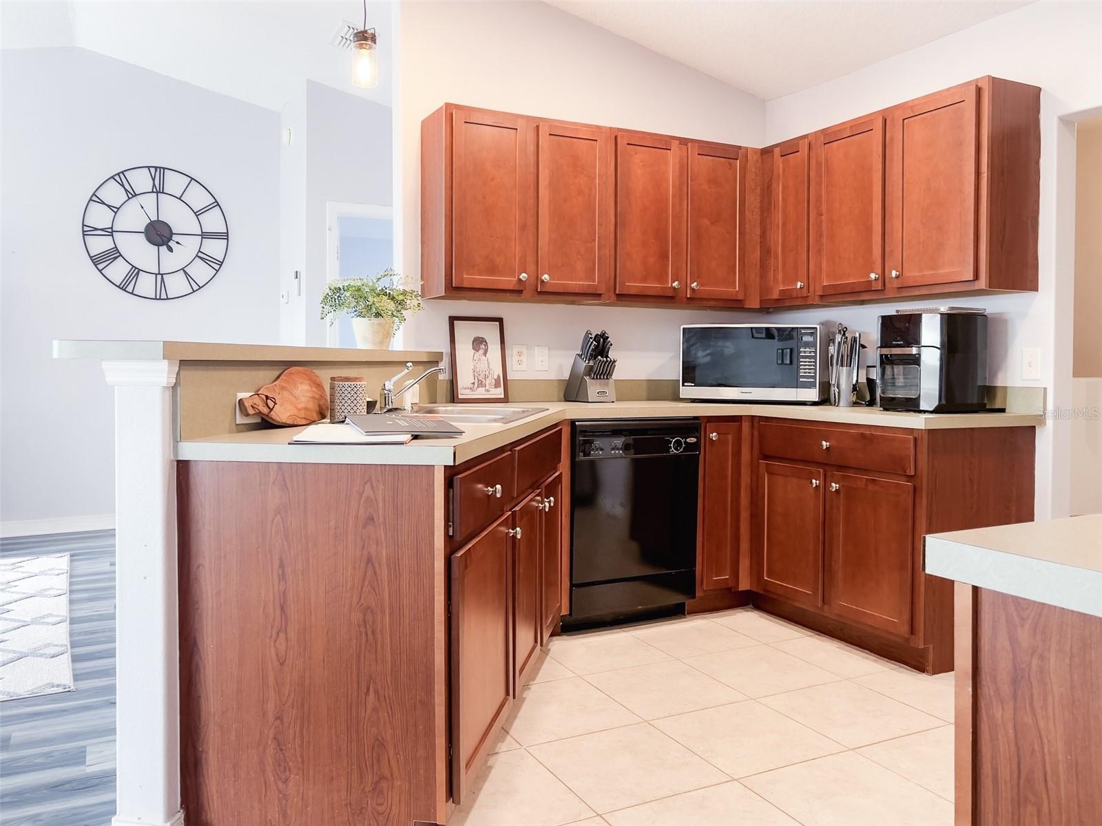 108 VILLAGE DR, WELAKA, FL, 32193