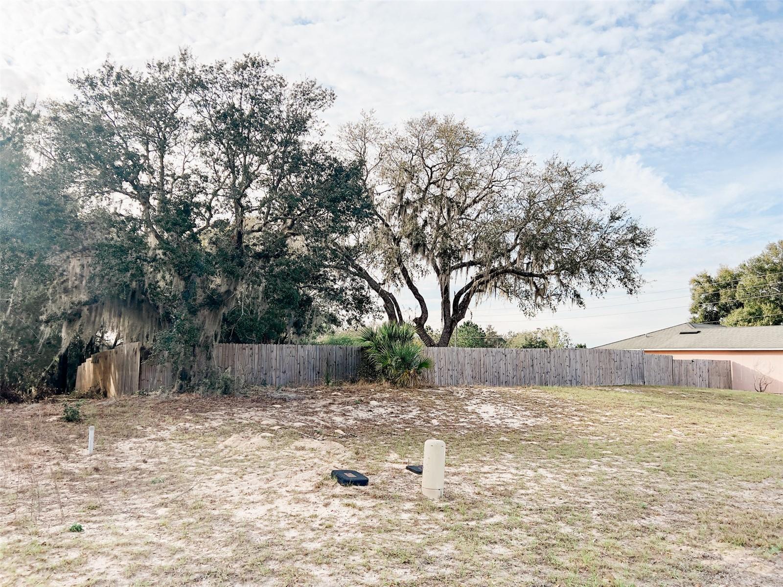 108 VILLAGE DR, WELAKA, FL, 32193