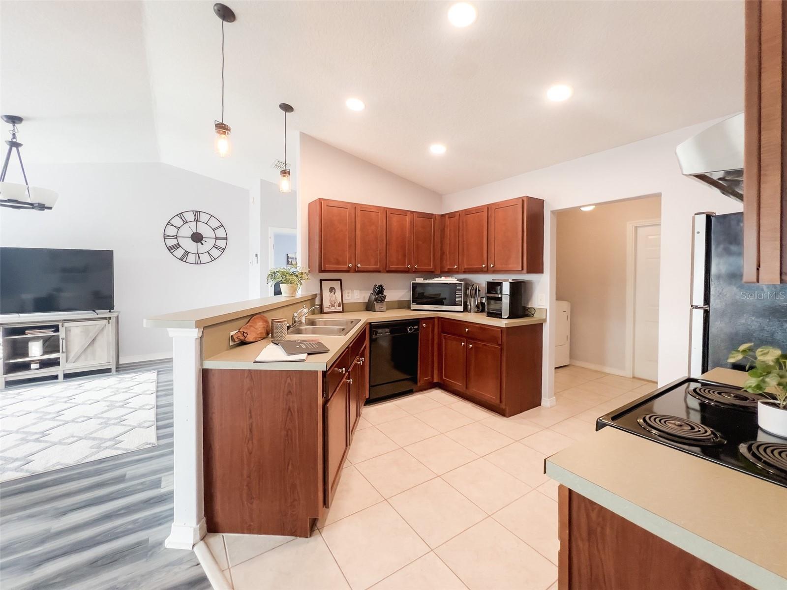 108 VILLAGE DR, WELAKA, FL, 32193