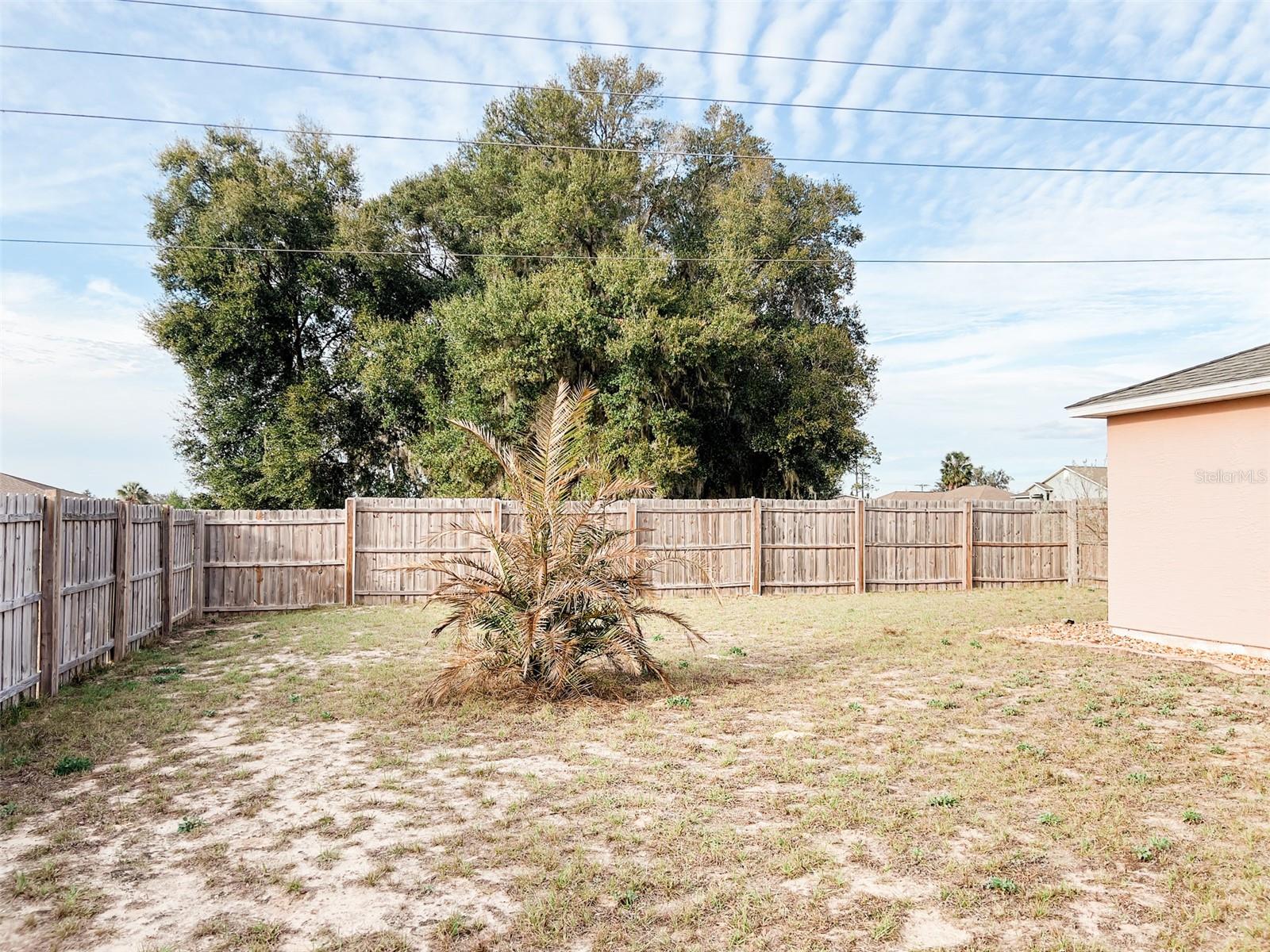 108 VILLAGE DR, WELAKA, FL, 32193