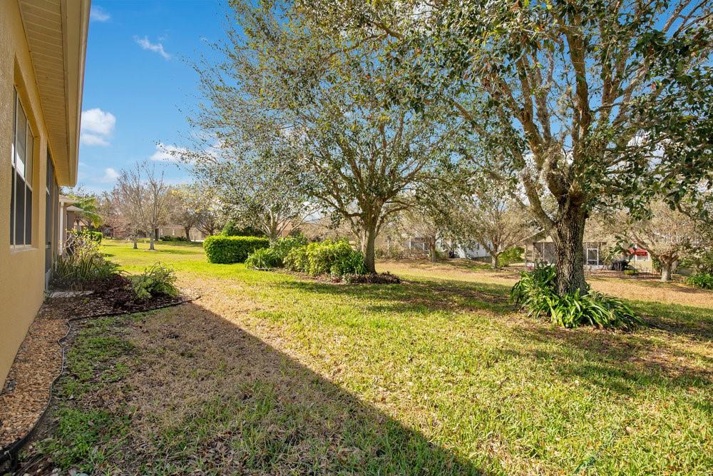 117 CUPANIA CT, GROVELAND, FL, 34736