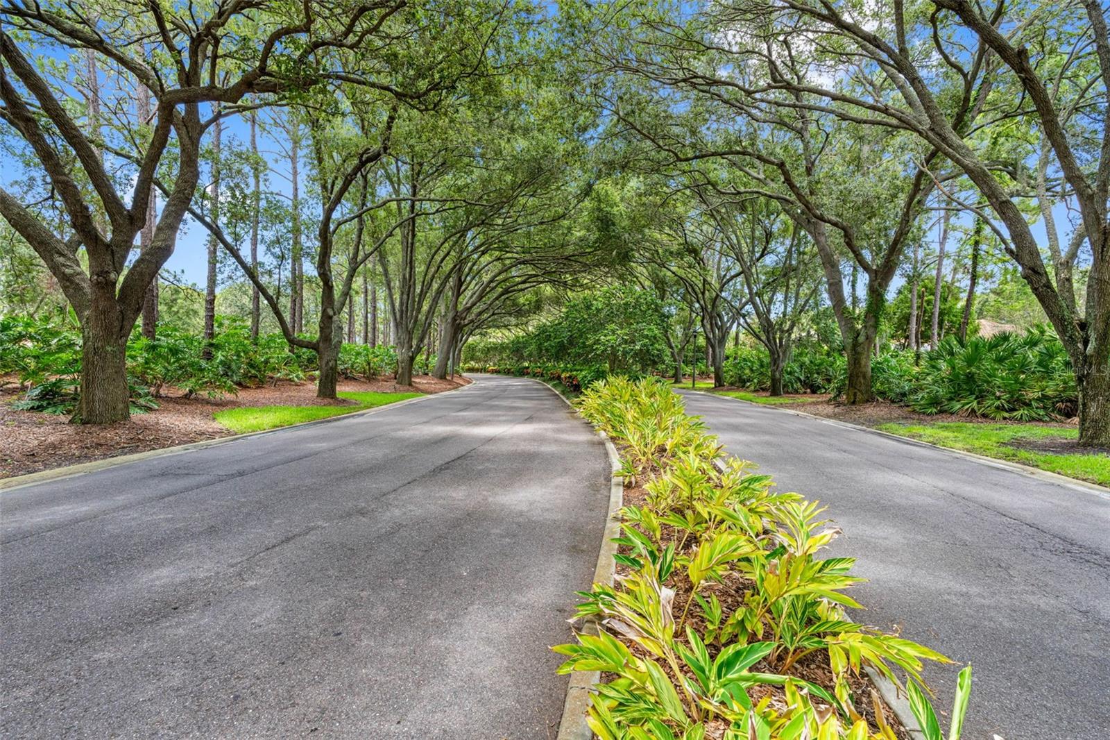 7888 LANTANA CREEK RD, SEMINOLE, FL, 33777