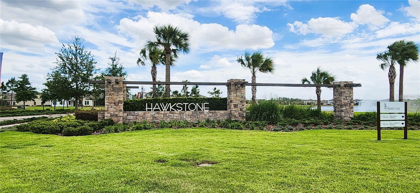 14607 BRUMBY RIDGE AVE, LITHIA, FL, 33547
