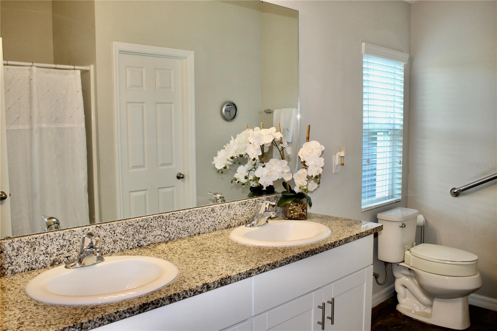 14607 BRUMBY RIDGE AVE, LITHIA, FL, 33547
