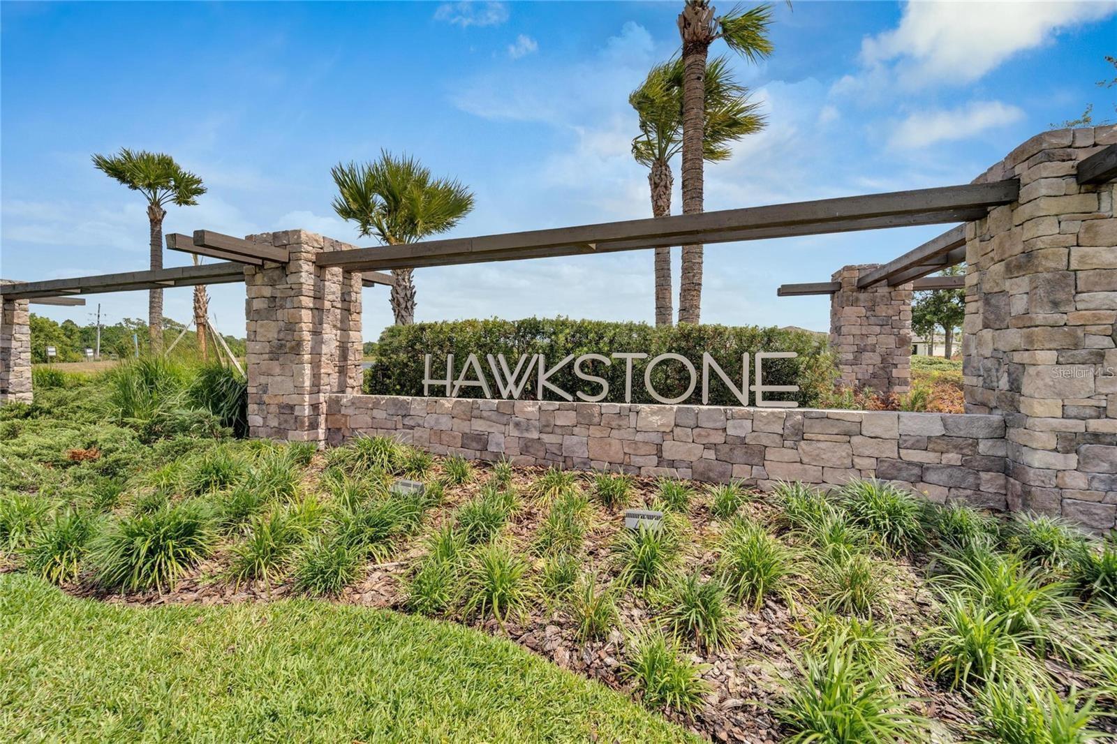 14607 BRUMBY RIDGE AVE, LITHIA, FL, 33547