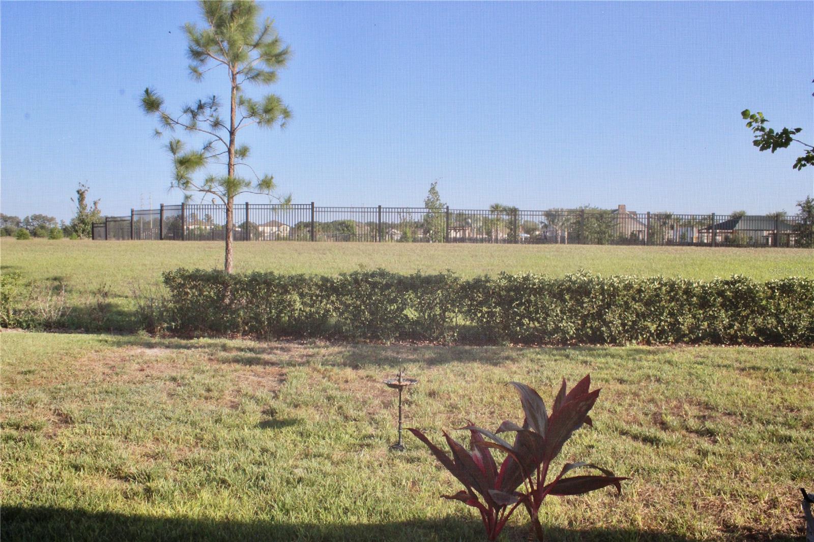 14607 BRUMBY RIDGE AVE, LITHIA, FL, 33547