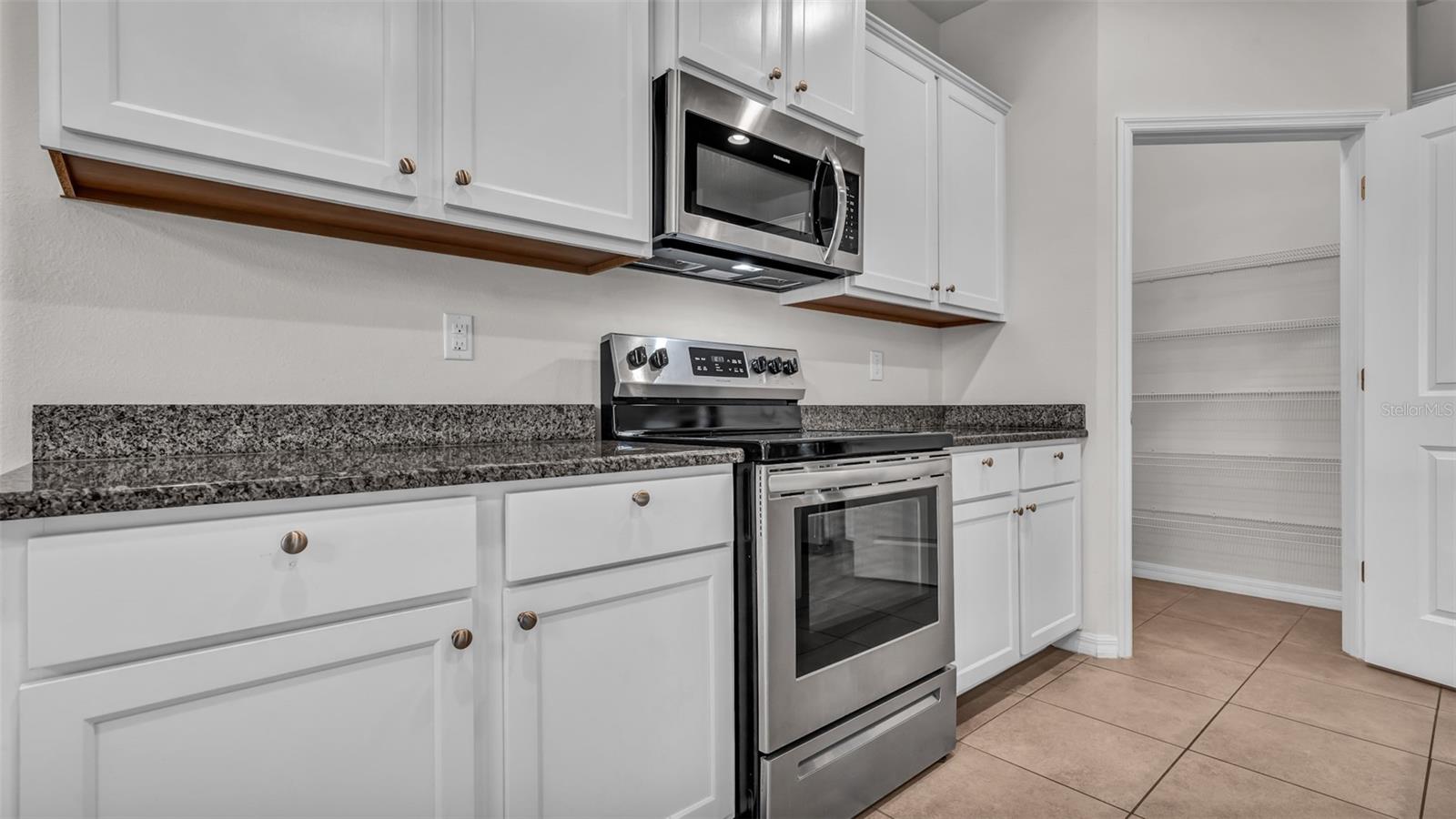 31534 TANSY BND, WESLEY CHAPEL, FL, 33545
