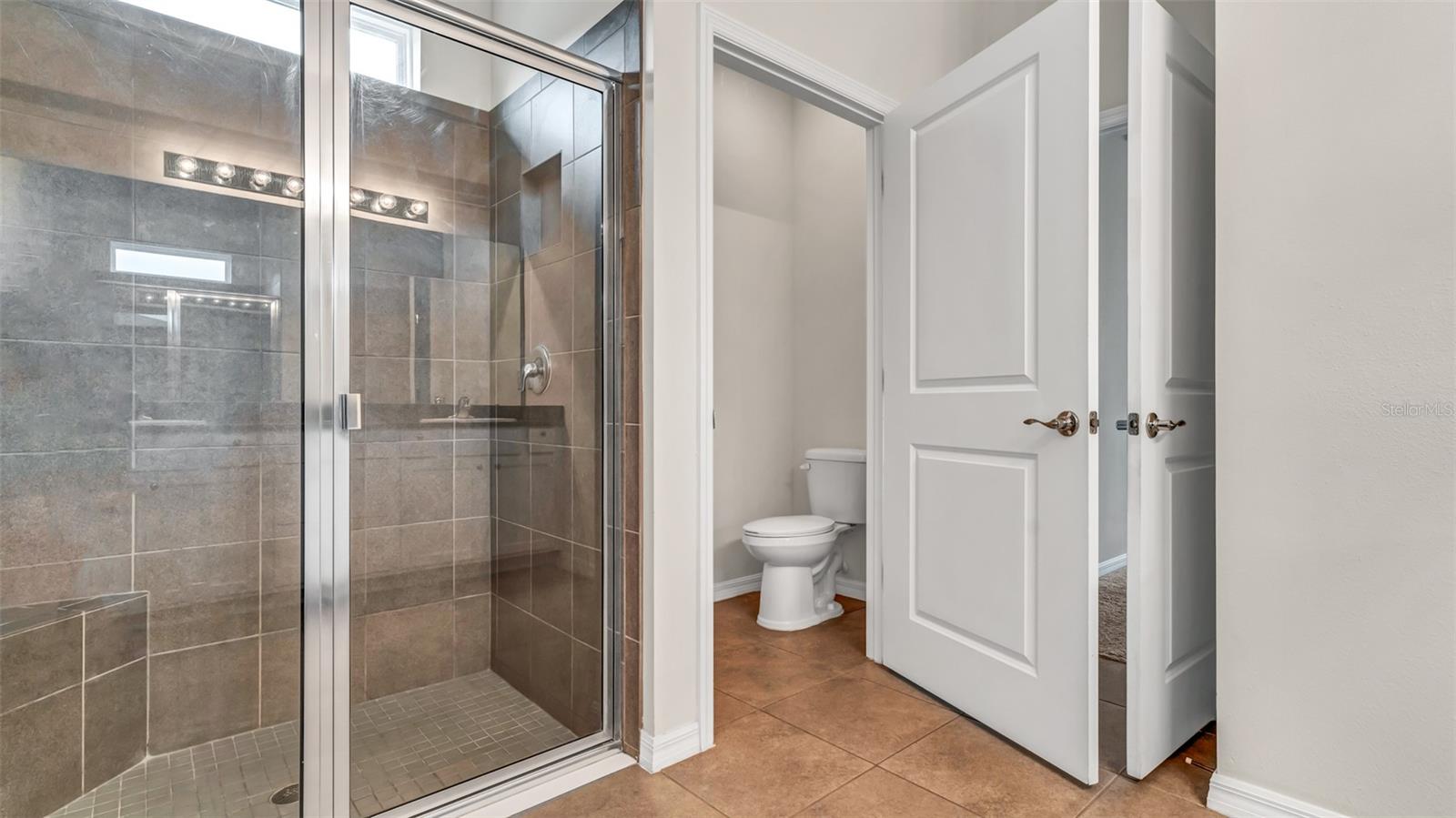 31534 TANSY BND, WESLEY CHAPEL, FL, 33545