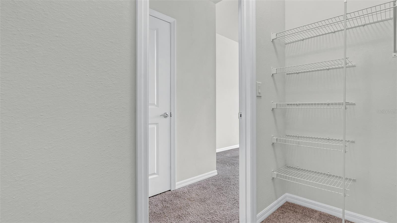 31534 TANSY BND, WESLEY CHAPEL, FL, 33545