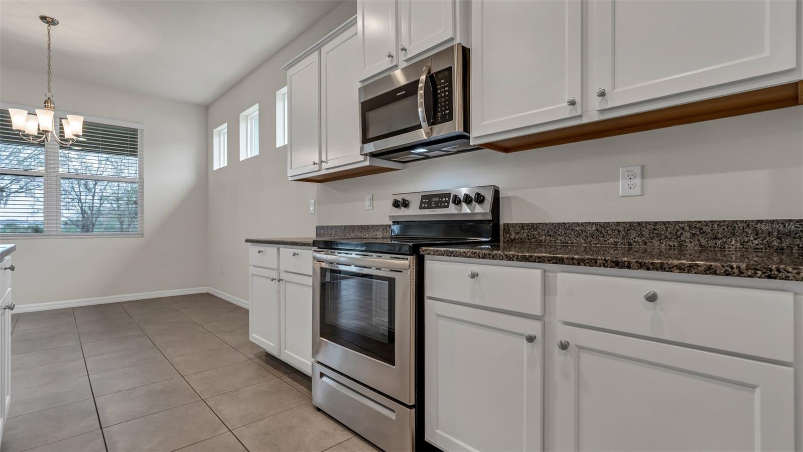 31534 TANSY BND, WESLEY CHAPEL, FL, 33545