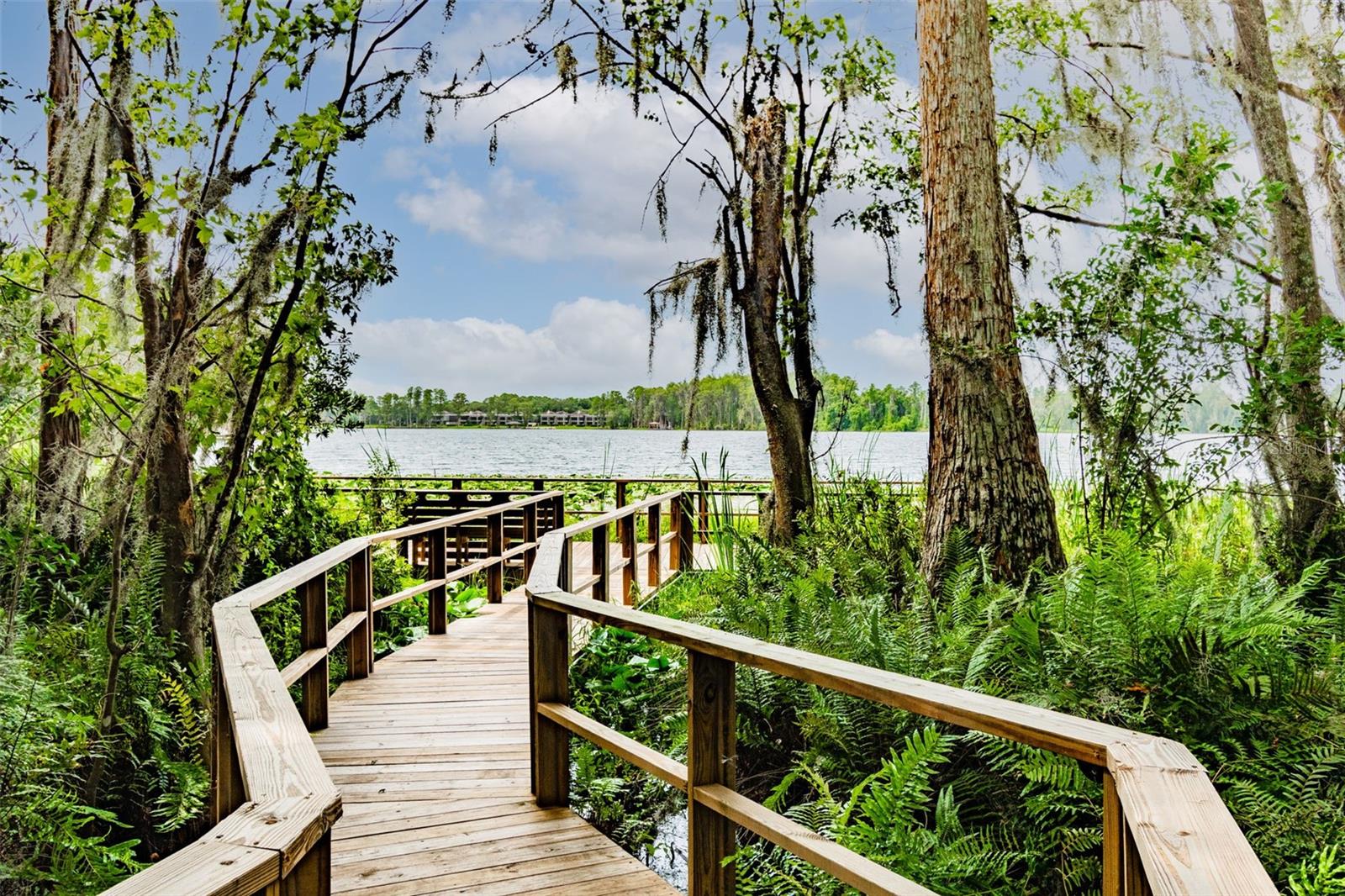 3406 CYPRESS HEAD CT, TAMPA, FL, 33618