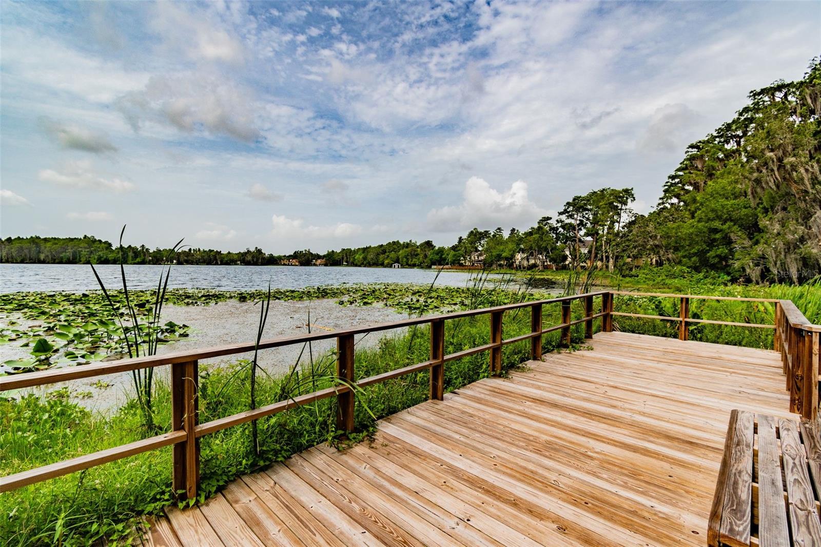 3406 CYPRESS HEAD CT, TAMPA, FL, 33618