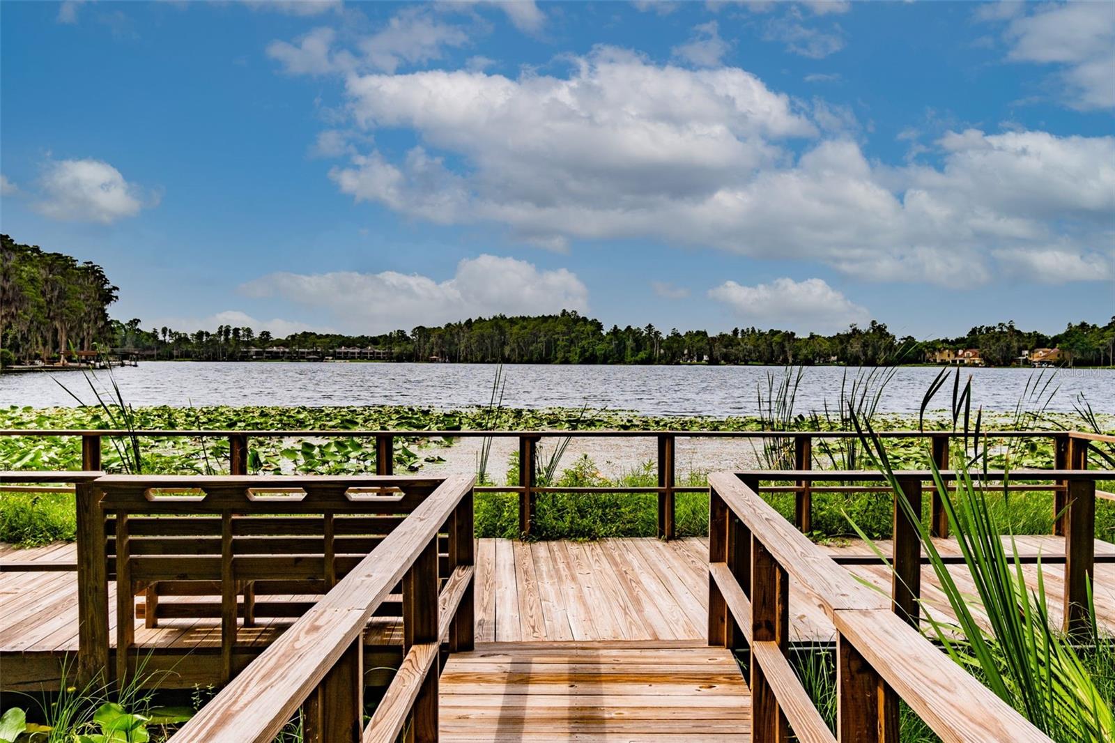 3406 CYPRESS HEAD CT, TAMPA, FL, 33618