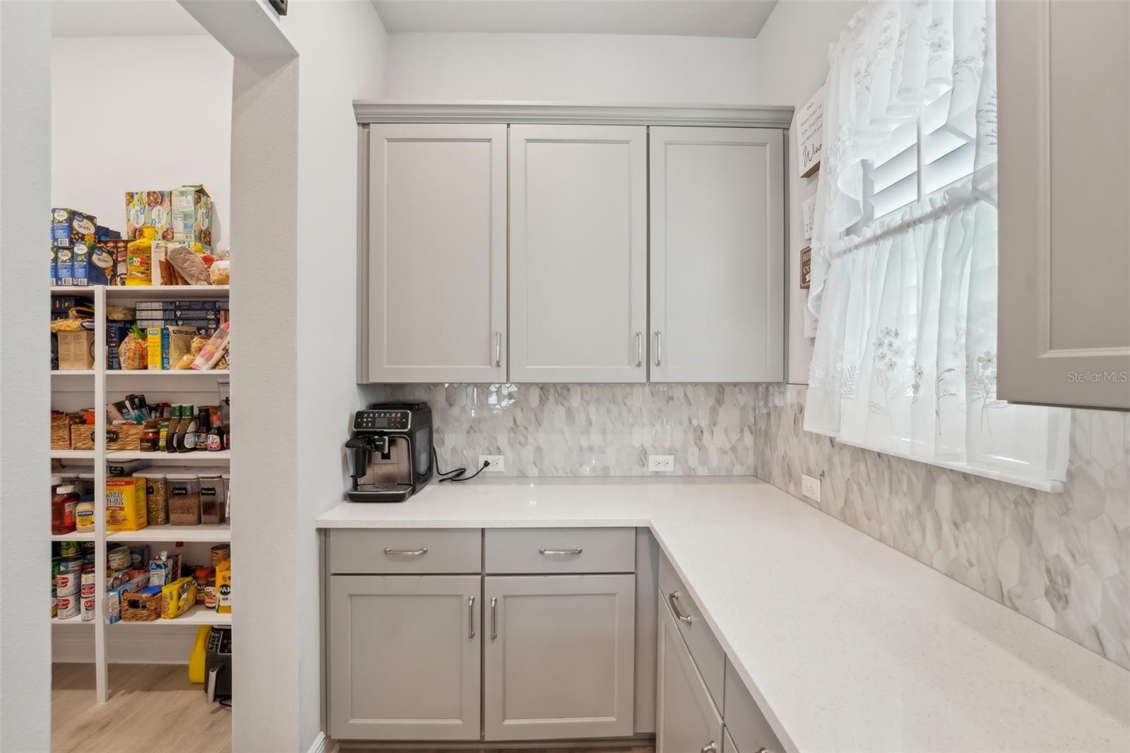 16371 FREHLEY RUN, LAND O LAKES, FL, 34638