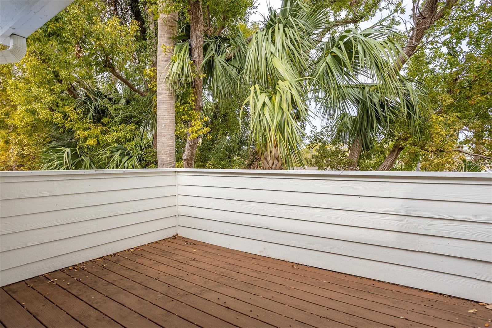 5203 BAYSHORE BLVD #5, TAMPA, FL, 33611