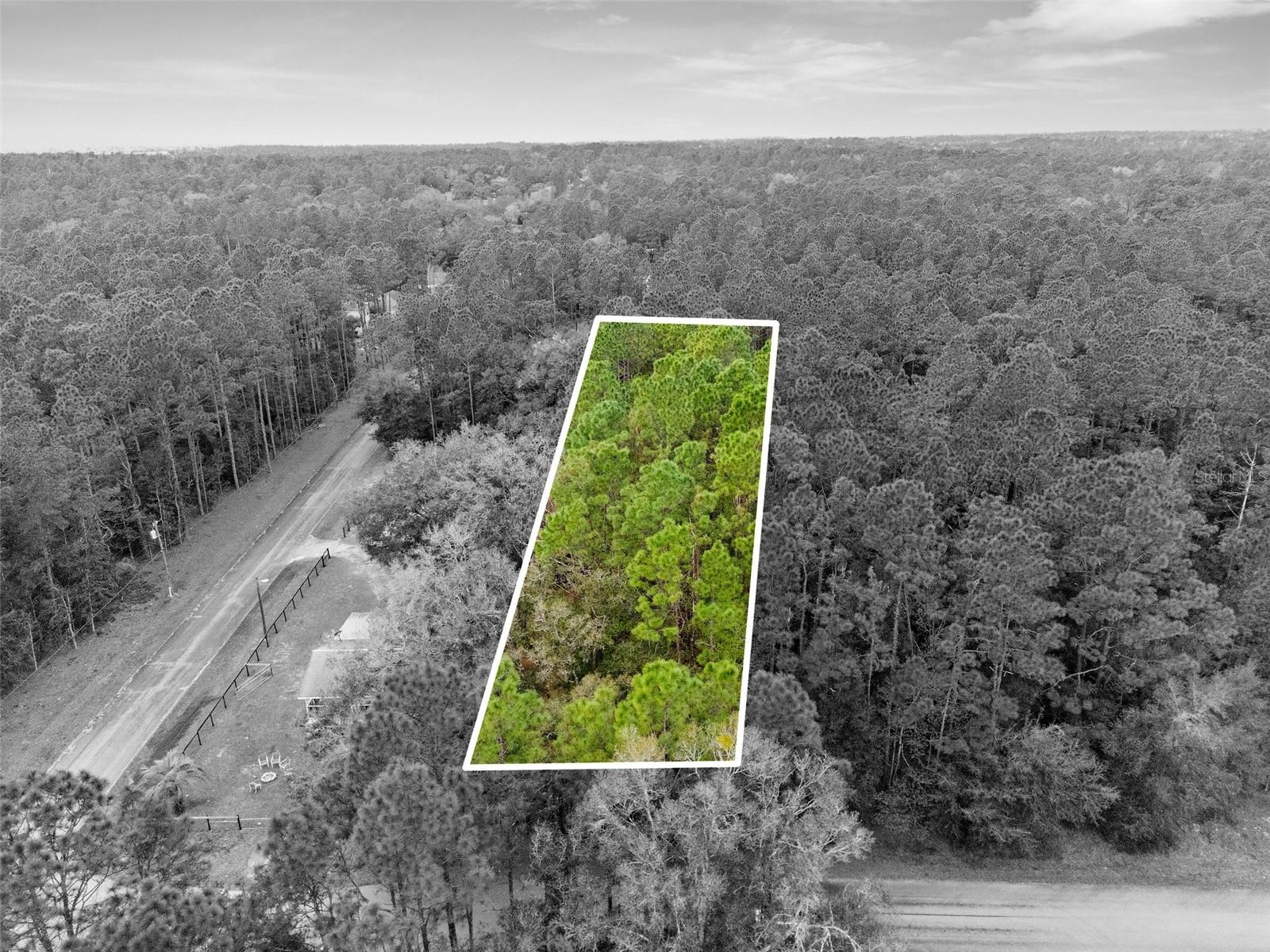 000 SW 202ND CT, DUNNELLON, FL, 34431