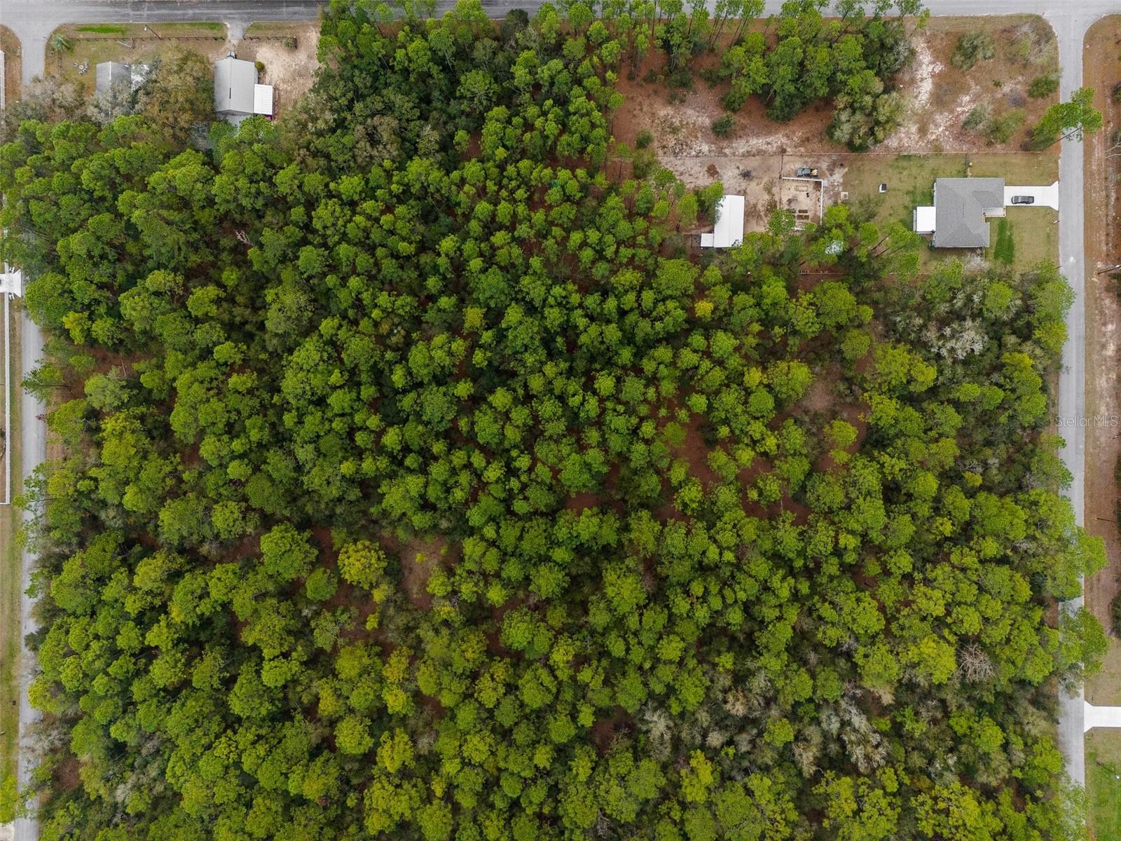 000 SW 202ND CT, DUNNELLON, FL, 34431