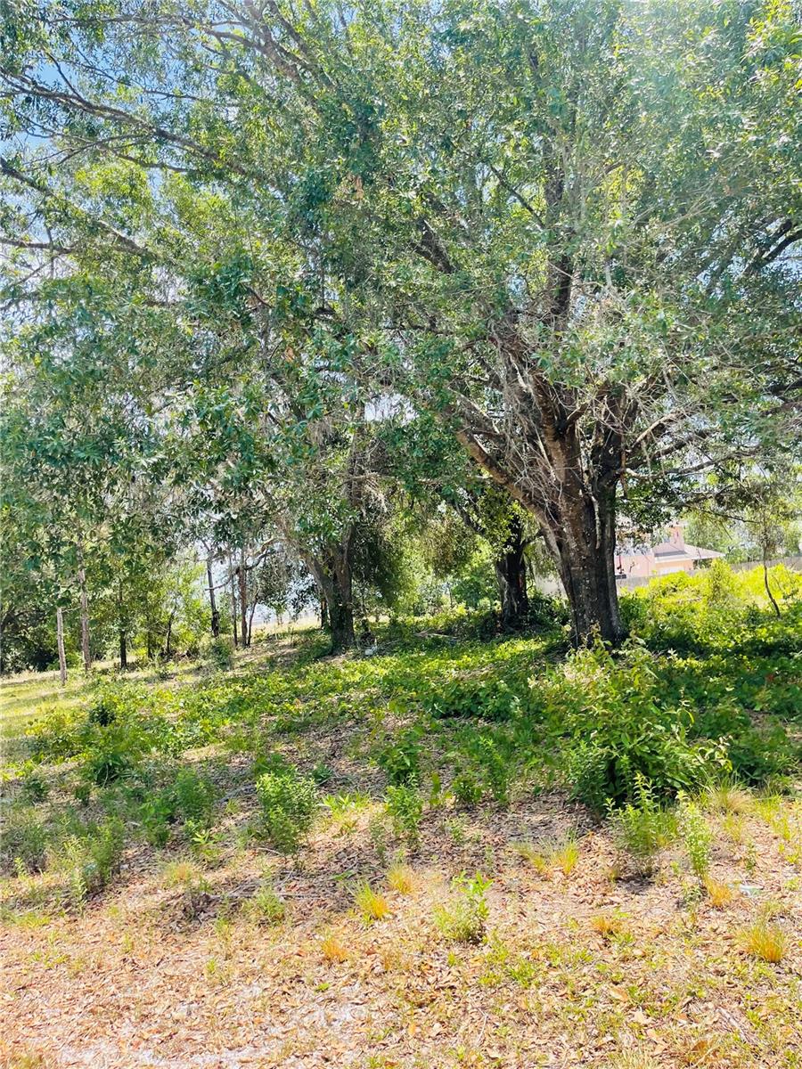 4000 FOX RIDGE BLVD, ZEPHYRHILLS, FL, 33543