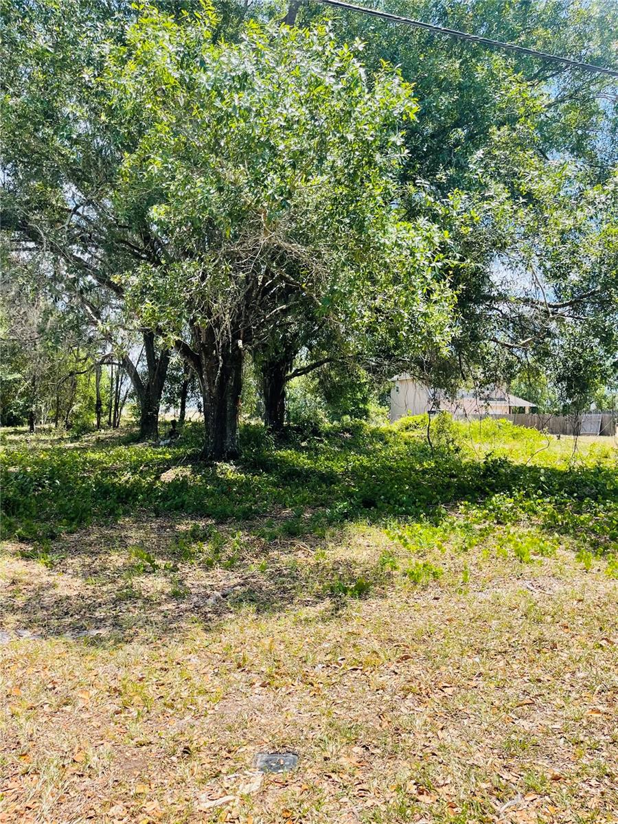 4000 FOX RIDGE BLVD, ZEPHYRHILLS, FL, 33543