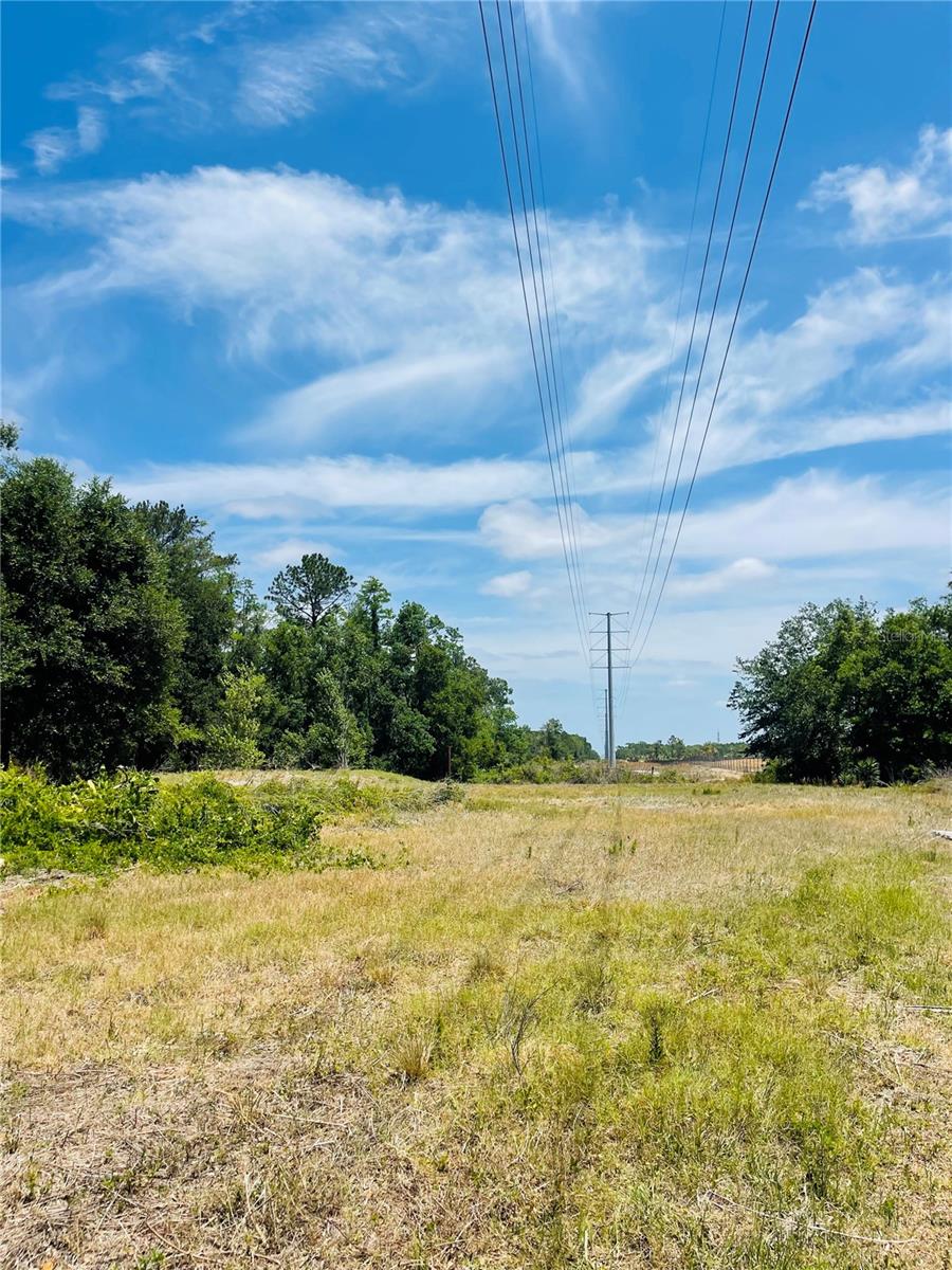 4000 FOX RIDGE BLVD, ZEPHYRHILLS, FL, 33543