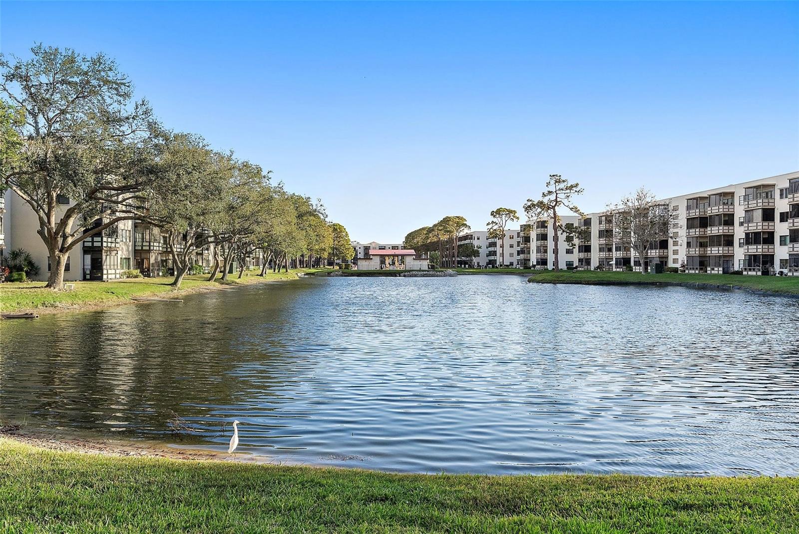 5971 TERRACE PARK DR N #310, ST PETERSBURG, FL, 33709