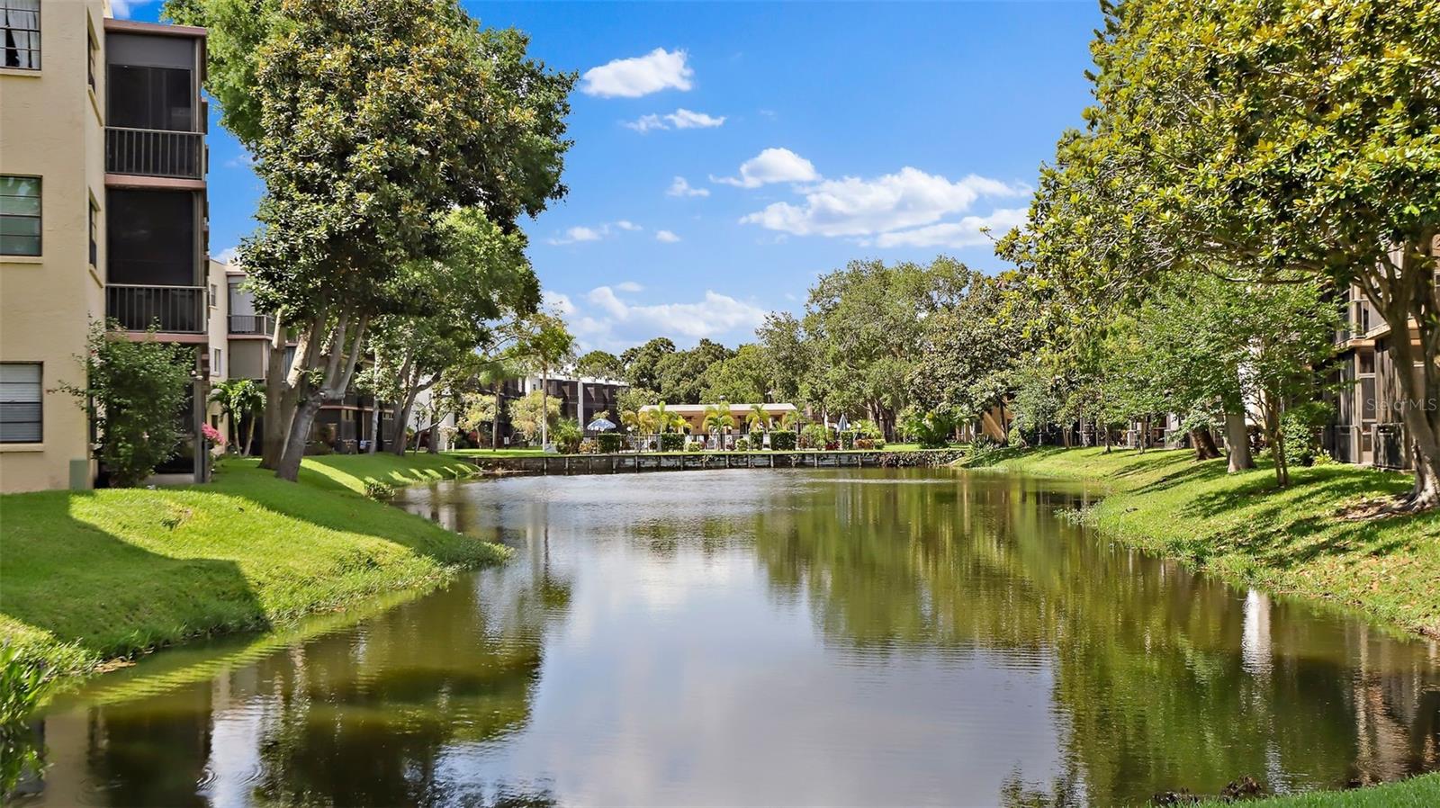 5971 TERRACE PARK DR N #310, ST PETERSBURG, FL, 33709
