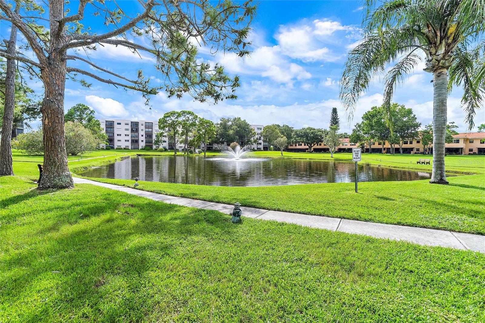 5971 TERRACE PARK DR N #310, ST PETERSBURG, FL, 33709