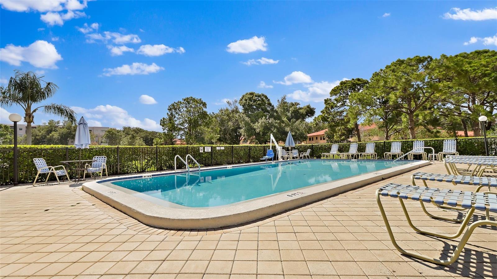 5971 TERRACE PARK DR N #310, ST PETERSBURG, FL, 33709
