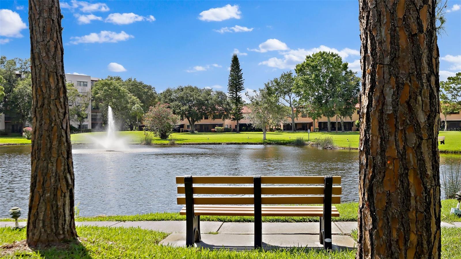 5971 TERRACE PARK DR N #310, ST PETERSBURG, FL, 33709