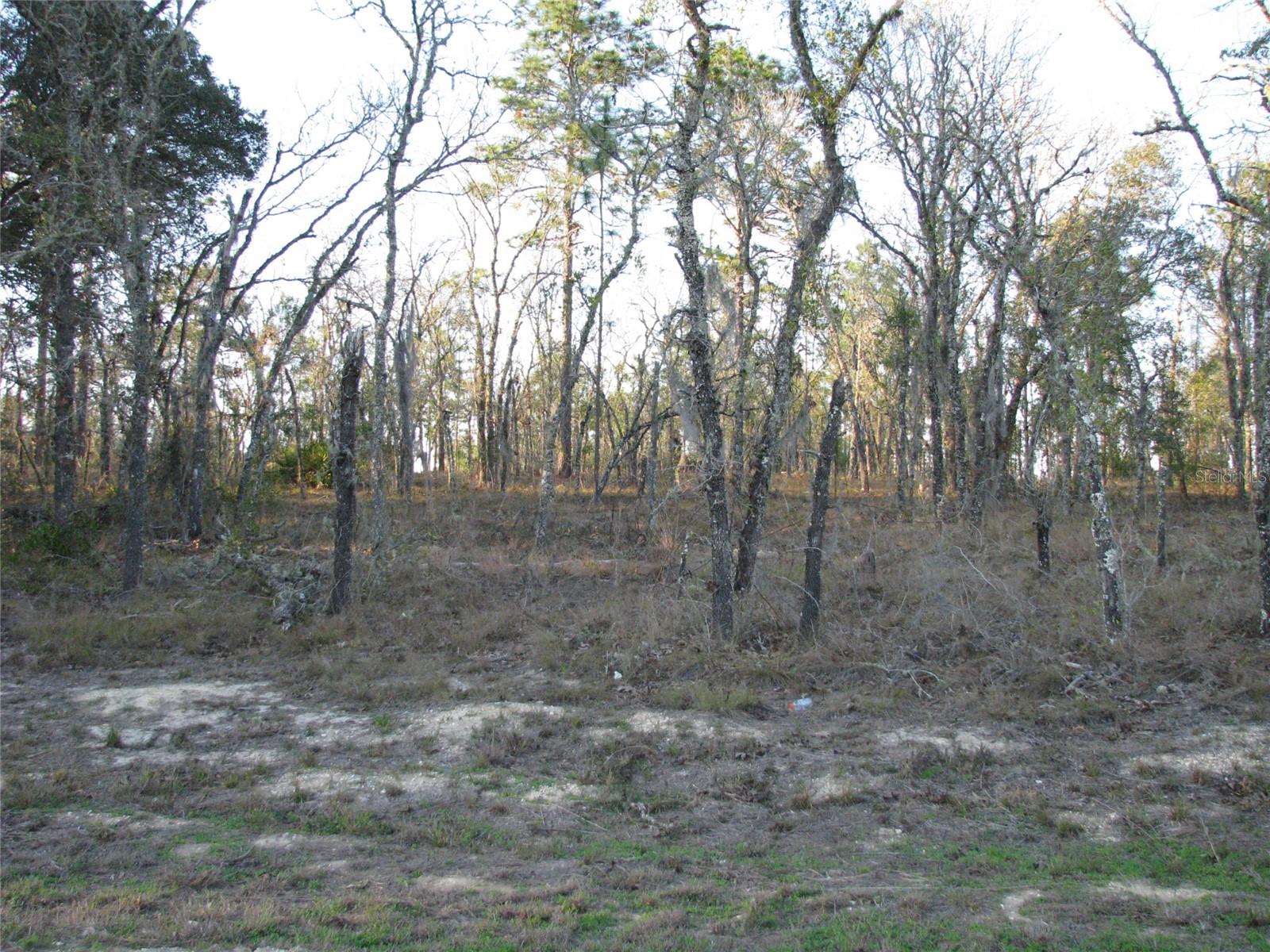 Lot 18 SW 62ND ST, OCALA, FL, 34481
