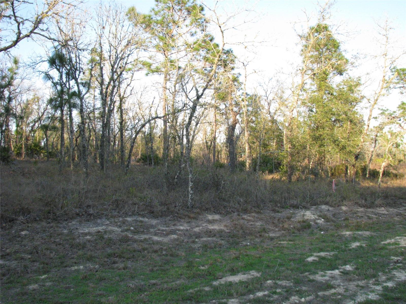 Lot 18 SW 62ND ST, OCALA, FL, 34481