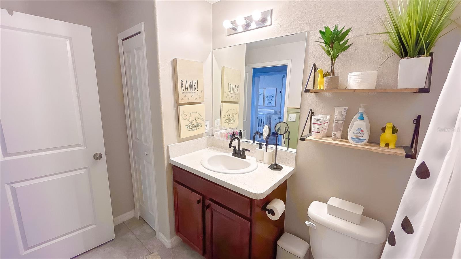 10518 LAKE MONTAUK DR, RIVERVIEW, FL, 33578