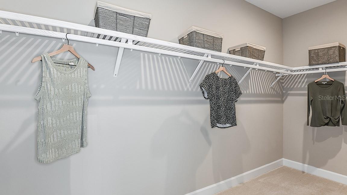 33960 ANCHOR LIGHT LN, WESLEY CHAPEL, FL, 33543