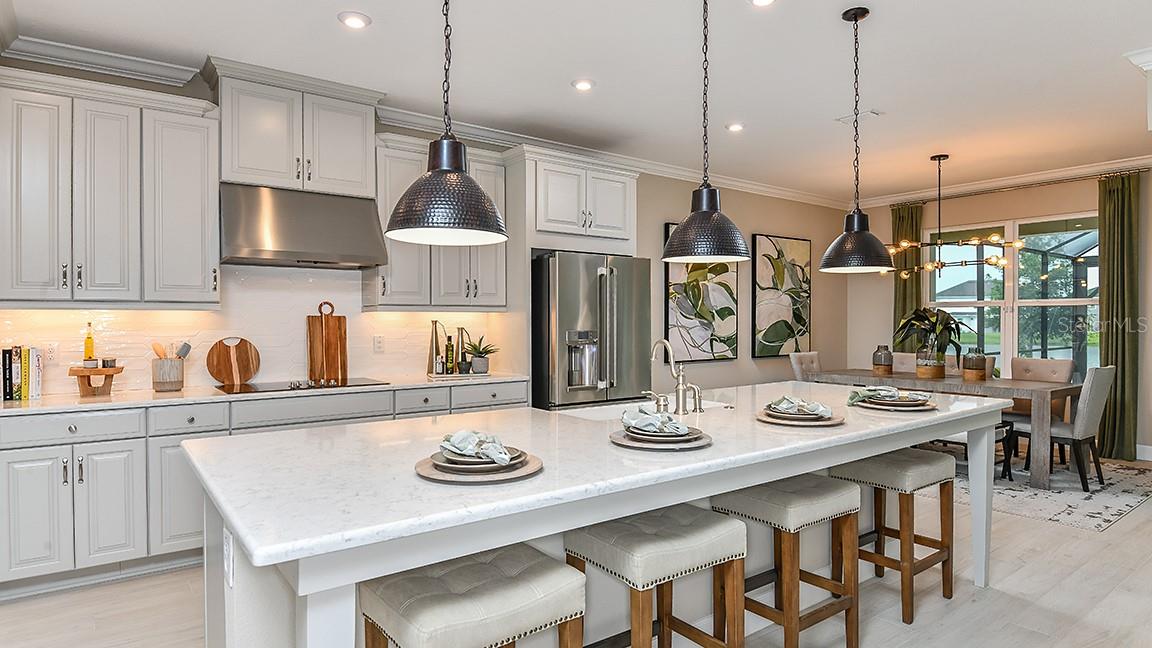 33960 ANCHOR LIGHT LN, WESLEY CHAPEL, FL, 33543