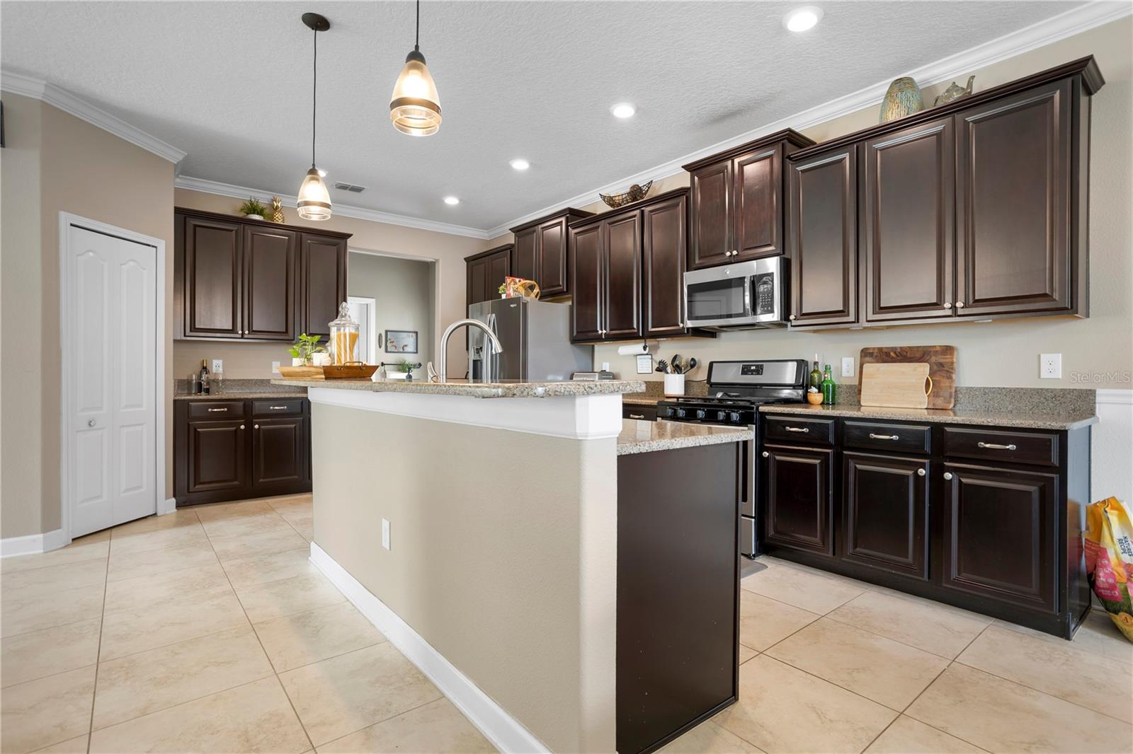 15154 DRIFTWOOD BEND ST, WINTER GARDEN, FL, 34787