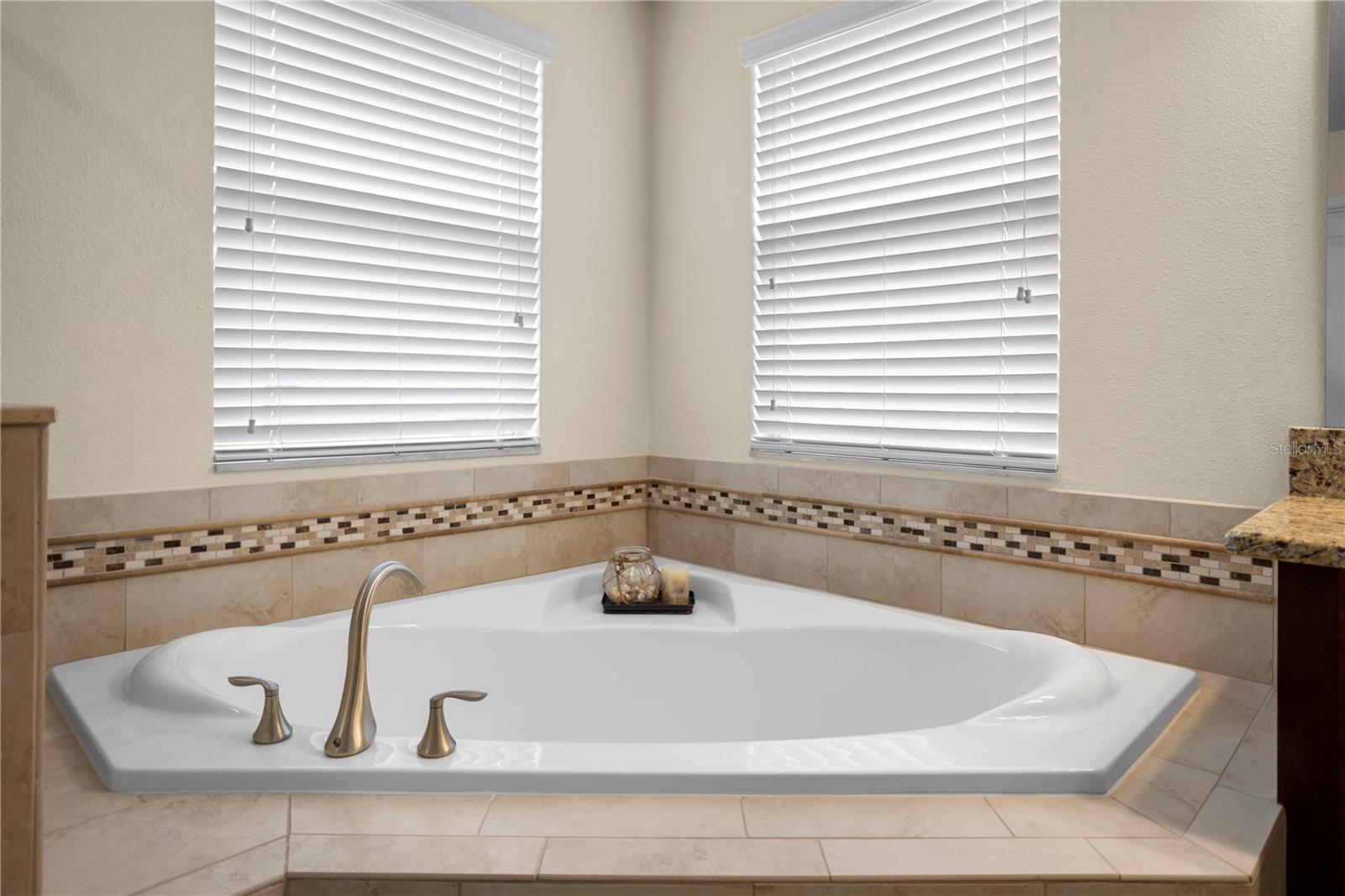 15154 DRIFTWOOD BEND ST, WINTER GARDEN, FL, 34787