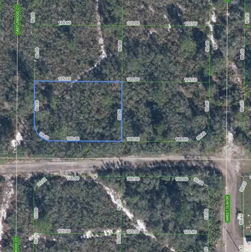 9956 CASTLEWOOD CT, SEBRING, FL, 33875