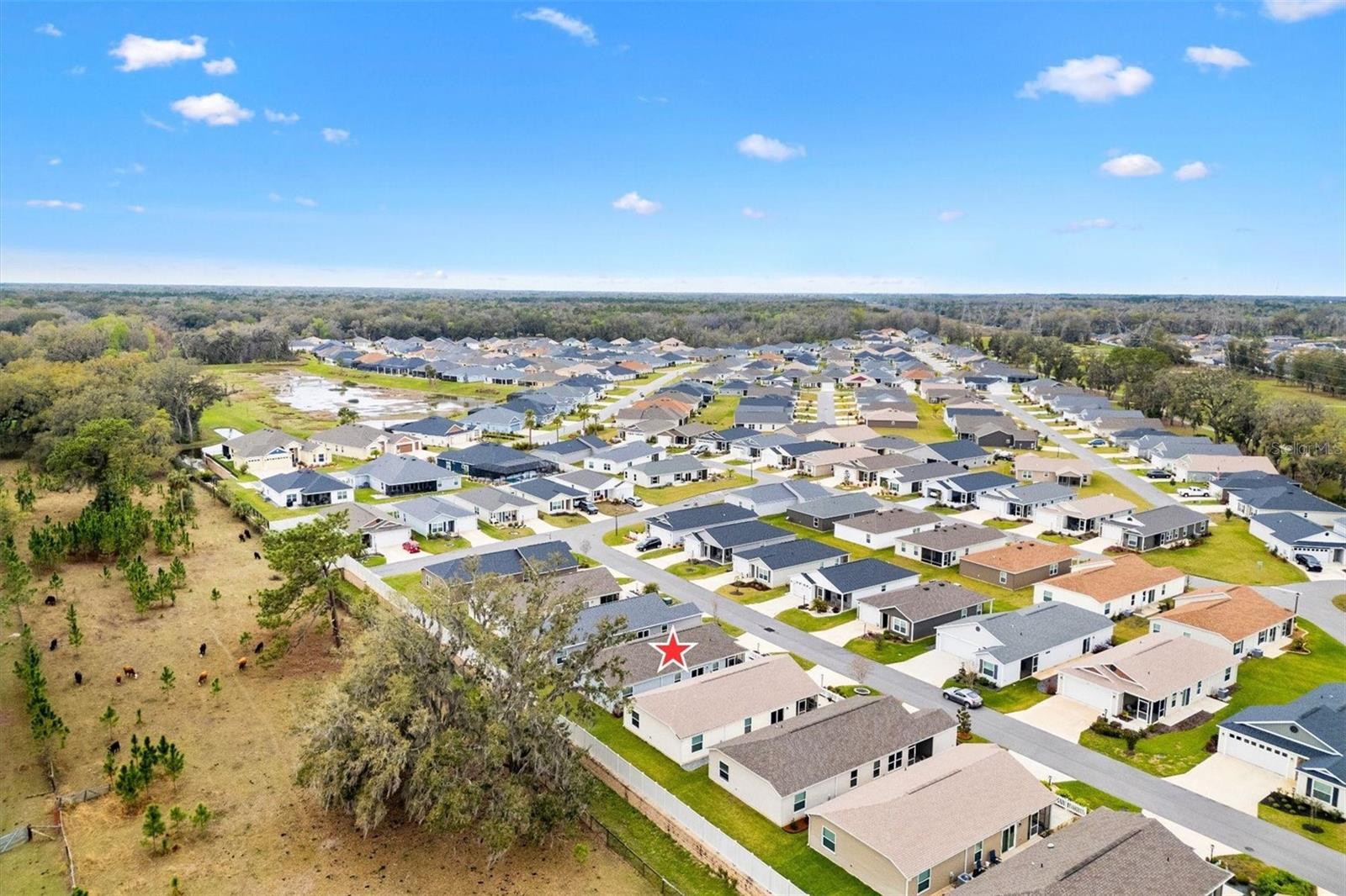 3320 DAVIS TER, THE VILLAGES, FL, 32163