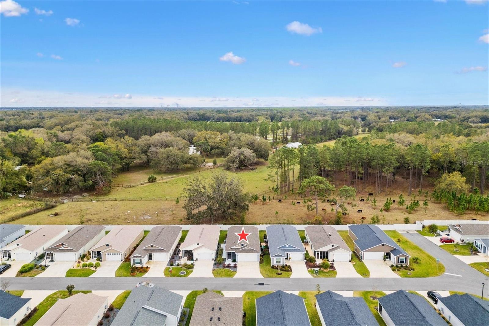 3320 DAVIS TER, THE VILLAGES, FL, 32163