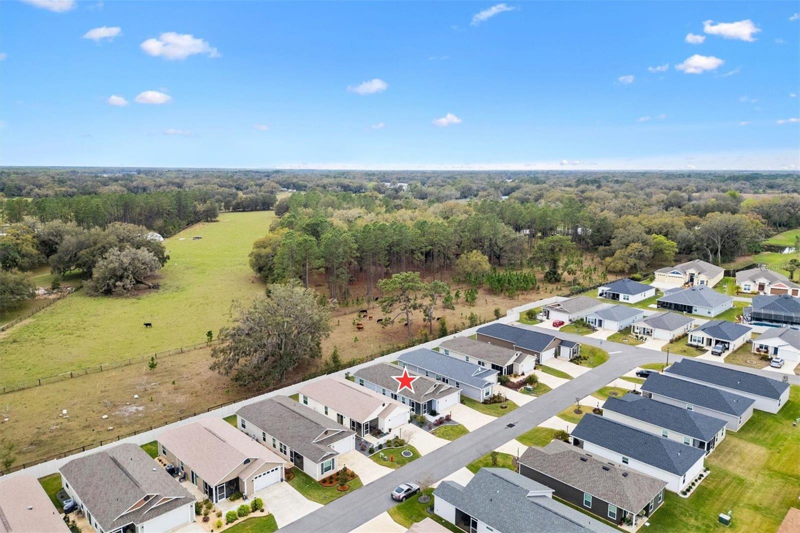 3320 DAVIS TER, THE VILLAGES, FL, 32163
