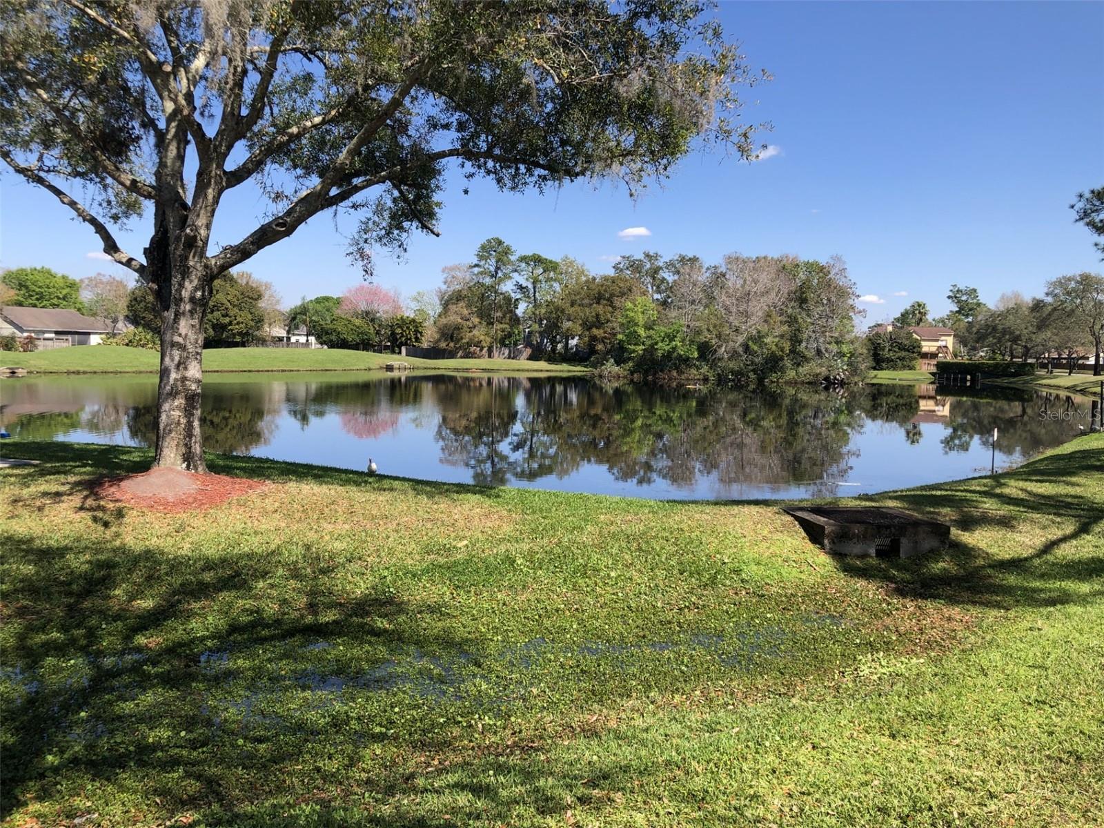1080 ABELL CIR, OVIEDO, FL, 32765